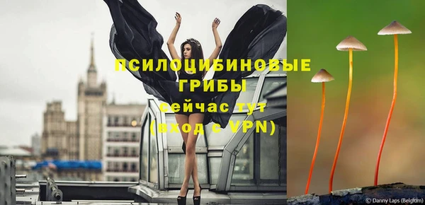 ешки Каменск-Шахтинский