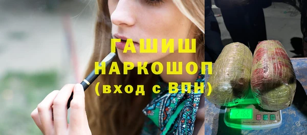 индика Каменка