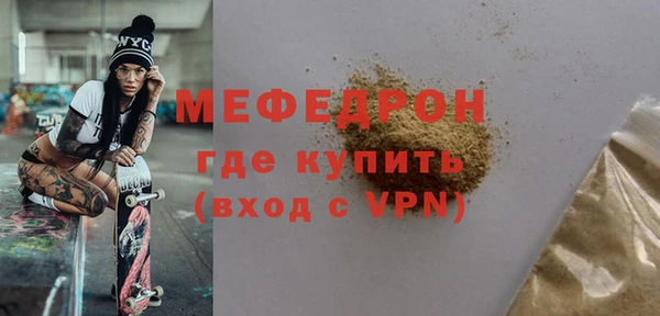индика Каменка