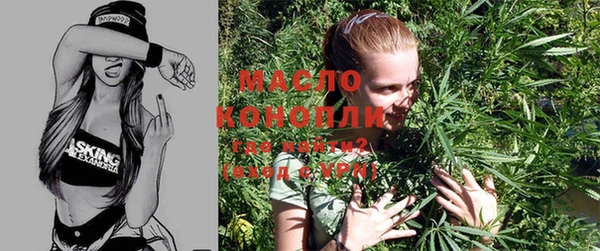 индика Каменка