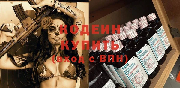 индика Каменка