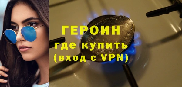 индика Каменка