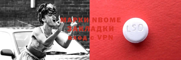 индика Каменка