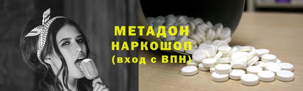 индика Каменка