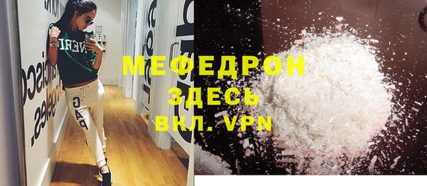 индика Каменка