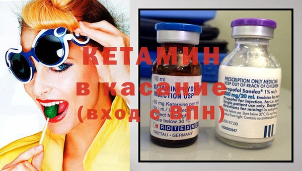 индика Каменка