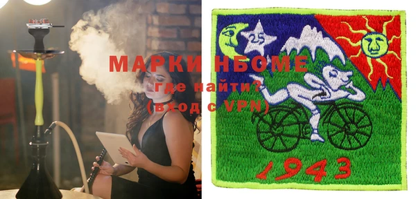 индика Каменка