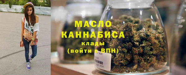 индика Каменка