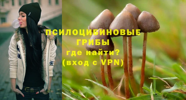 индика Каменка