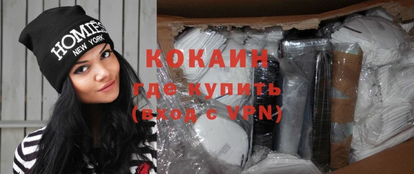 индика Каменка