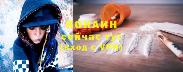 индика Каменка