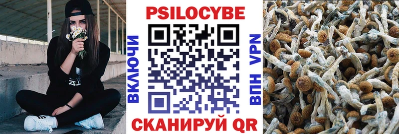 Псилоцибиновые грибы мицелий  Купить где  Бугульма 